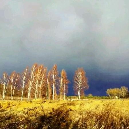 Gospodarstwo Zaborski Sad Buitenkant foto