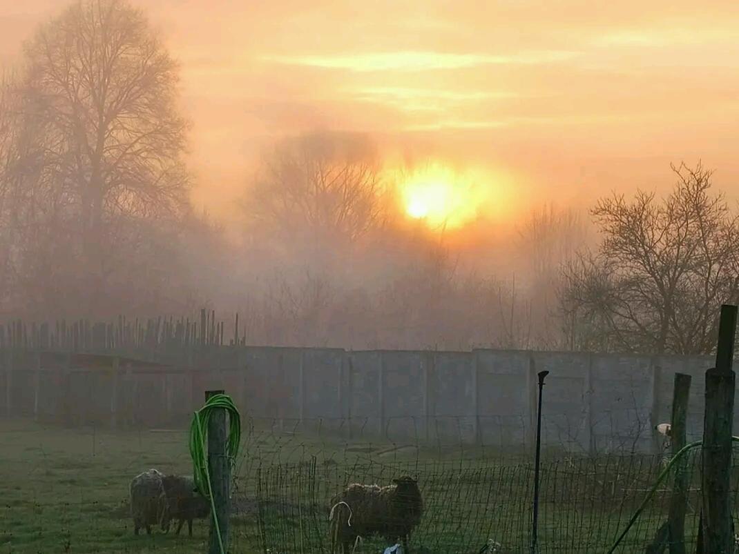 Gospodarstwo Zaborski Sad Buitenkant foto