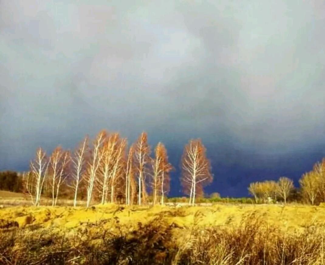 Gospodarstwo Zaborski Sad Buitenkant foto