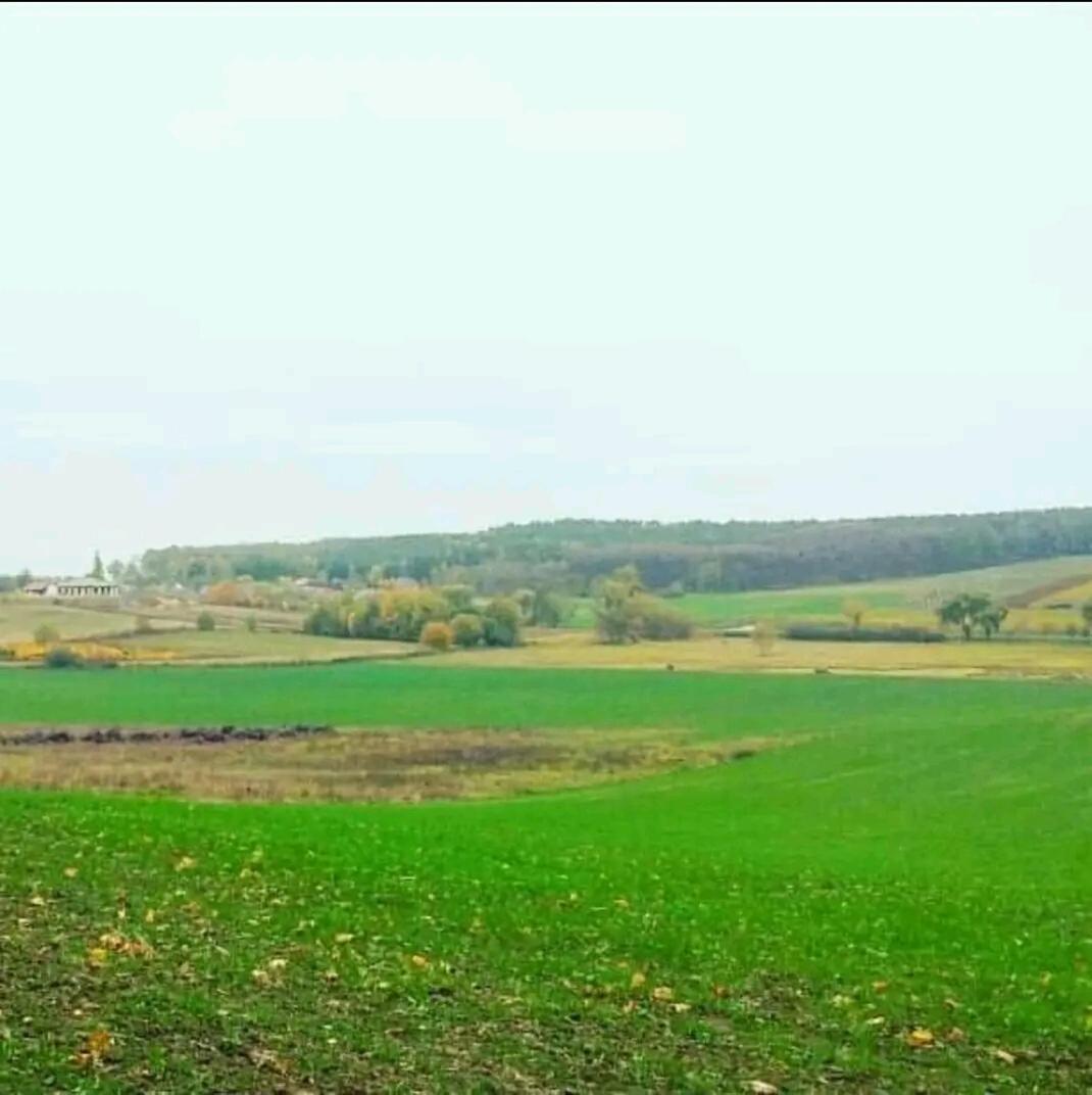 Gospodarstwo Zaborski Sad Buitenkant foto