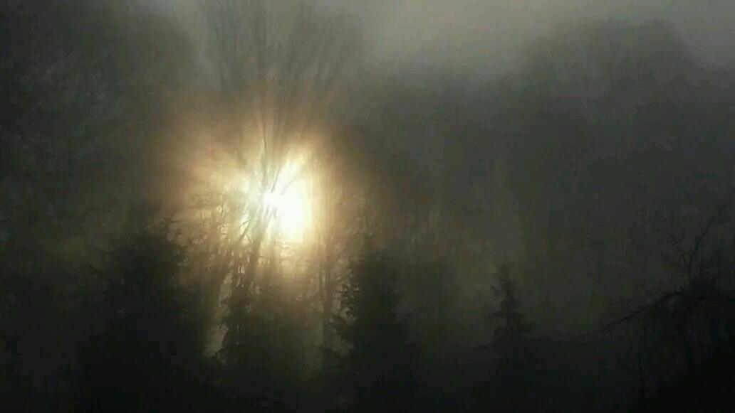 Gospodarstwo Zaborski Sad Buitenkant foto