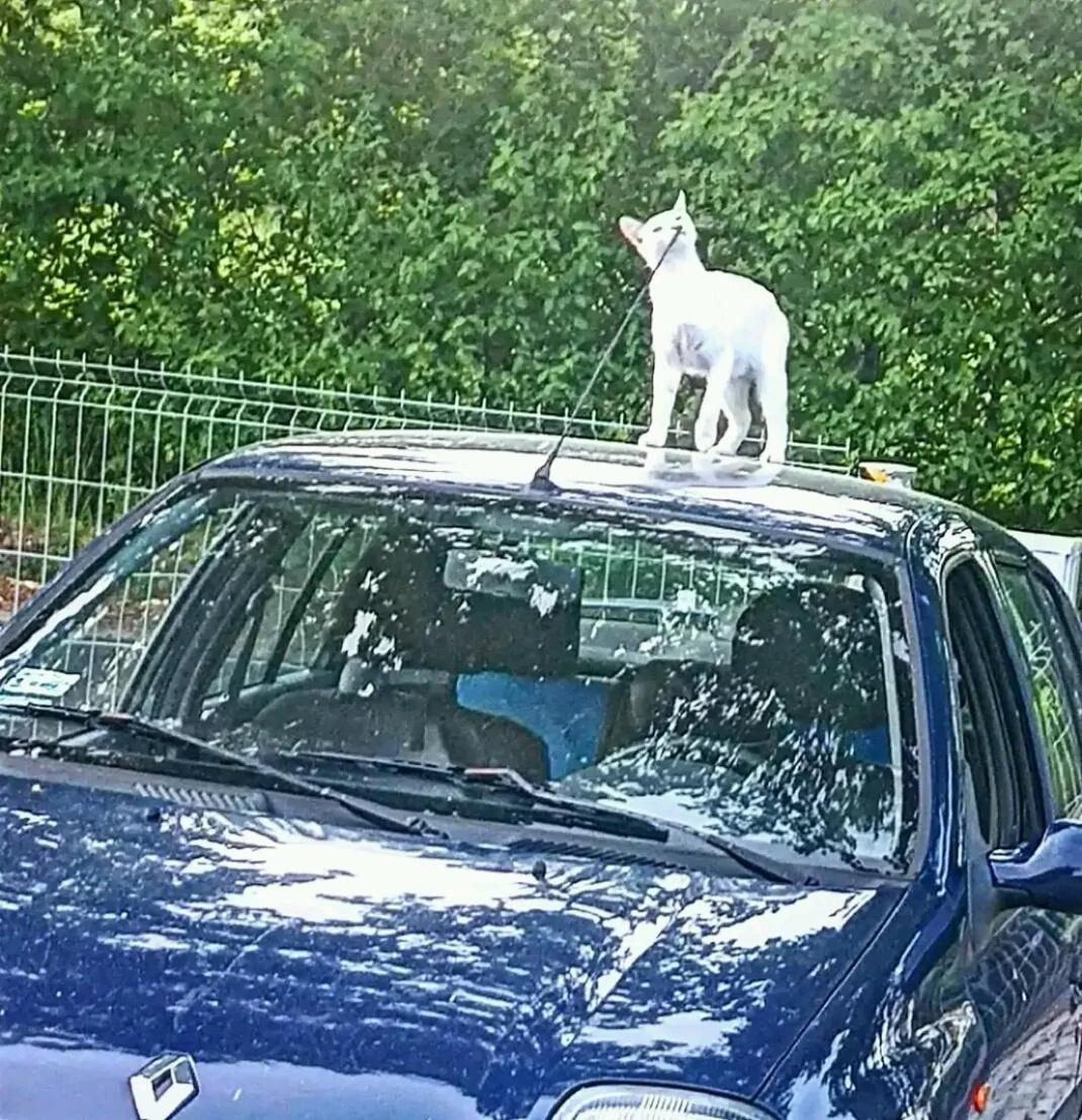 Gospodarstwo Zaborski Sad Buitenkant foto